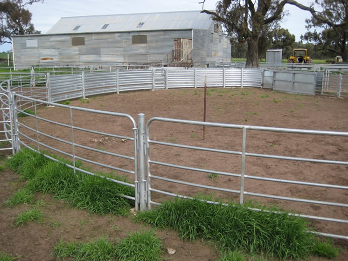 Livestock Yard Fence